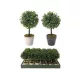 Family plantă artificială cserepes 23cm 2 modele