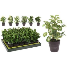 Family plantă artificială cserepes 20cm 6 modele