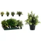 Family plantă artificială cserepes 23cm 4 modele