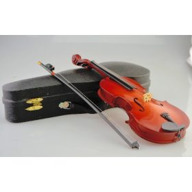 Family hegedű tokkal mini