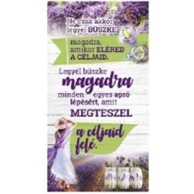   Family de perete tablă cu lavandă 26x48cm "fii mândru"