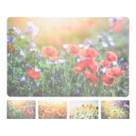   Family suport de farfurie PP 43,5X28,5CM FLOARE III. 4 modele