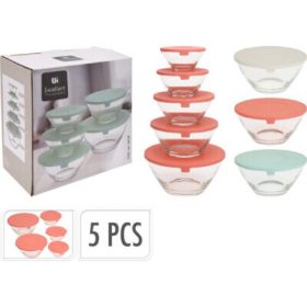   Family recipient cutie set 5 buc sticlă 130/220/330/450/890ml 3 modele