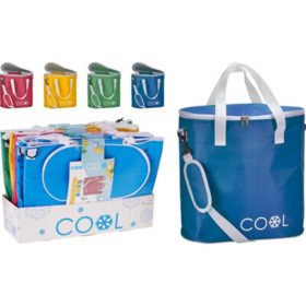   Family geantă frigorifică poliester 24l, 38x21x37cm 4 modele