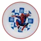 Family farfurie plastic 14,5cm spiderman