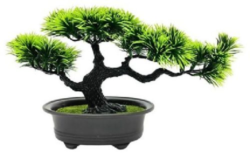 Family bonsai fa 15x13x19cm