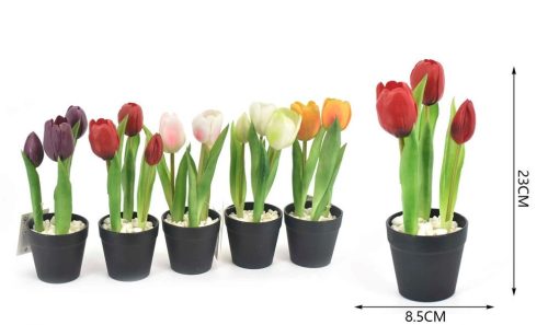 Family művirág cserepes tulipán 23x8,5cm 5f.