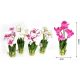 Family művirág orchidea 28x6cm 4f.