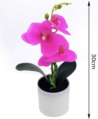Family művirág cserepes orchidea 30cm 4f.