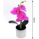 Family művirág cserepes orchidea 30cm 4f.