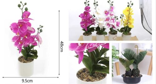 Family művirág orchidea cserepes 48x9,5cm több féle szín