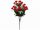 Family floare artificială garoafă csokor 50cm roșu