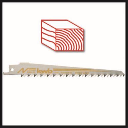 Einhell 4326310 PROFESSIONAL PXC TP-AP 18/28 Li BL - Solo akku és töltő nélkül akkumulátoros orrfűrész