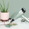 Remington AC5860 Botanicals hajszárító