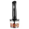 Russell Hobbs 27141-56/RH Desire Matte Charcoal 3in1 szénszürke botmixer