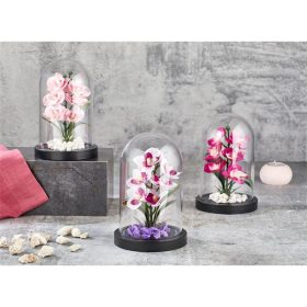   IRIS E5636 ORCHIDEA dekoráció művirággal búrában 11x18cm