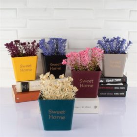   IRIS E5661 SWEET HOME dekoráció művirággal cserépben 10x16cm