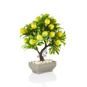   IRIS E5638 citromfa dekoráció művirággal cserépben 18x24cm