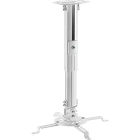 SHO 1096 CEILING PROJECTOR HOLDER STELL