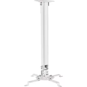 SHO 1097 CEILING PROJECTOR HOLDER STELL