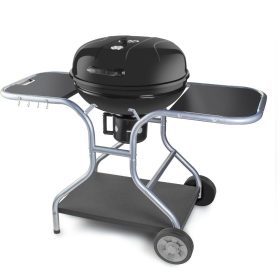 Fieldmann FZG 1014 faszenes grill