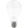 Retlux RLL 463 A67 E27 bulb 20W CW 