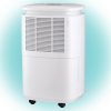 Párátlanító, max. 10 liter / 24 h, 230 V~, R290 töltőgáz